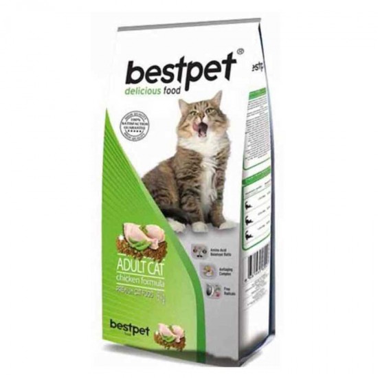Bestpet Cat Chicken Tavuklu Yetişkin Kedi Maması