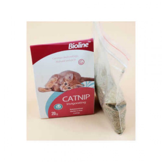 Bioline Catnip Kedi Otu
