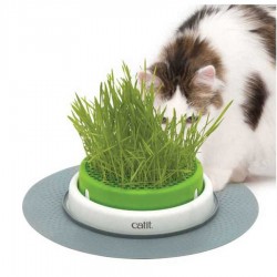 Catit Senses 2.0 Grass Planter Kedi Çimi