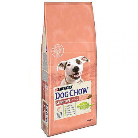 Dog Chow Somon Balıklı Yetişkin Kuru Köpek Maması