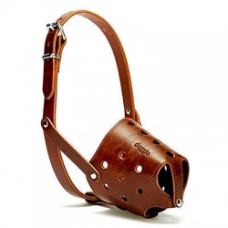 Doggie Eğitim Serisi Gerçek Deriden El Yapımı Kısa Burunlu Köpek Ağızlığı Brown
