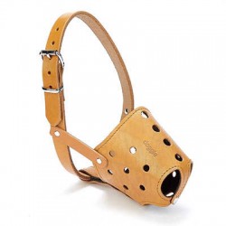 Doggie Eğitim Serisi Gerçek Deriden El Yapımı Kısa Burunlu Köpek Ağızlığı Camel