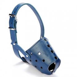 Doggie Eğitim Serisi Gerçek Deriden El Yapımı Kısa Burunlu Köpek Ağızlığı Royalblue