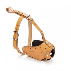 Doggie Eğitim Serisi Gerçek Deriden El Yapımı Uzun Burunlu Köpek Ağızlığı Camel
