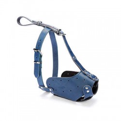 Doggie Eğitim Serisi Gerçek Deriden El Yapımı Uzun Burunlu Köpek Ağızlığı Royalblue