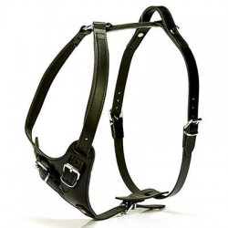 Doggie Gerçek Deriden El Yapımı Dragon Model Köpek Göğüs Tasması Black