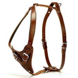 Doggie Gerçek Deriden El Yapımı Dragon Model Köpek Göğüs Tasması Brown