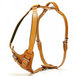 Doggie Gerçek Deriden El Yapımı Dragon Model Köpek Göğüs Tasması Camel