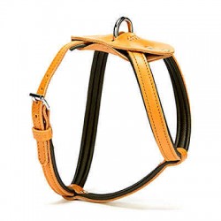 Doggie Konfor Spıder  Deri Göğüs Tasması