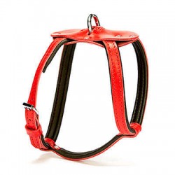 Doggie Konfor Spıder  Deri Göğüs Tasması
