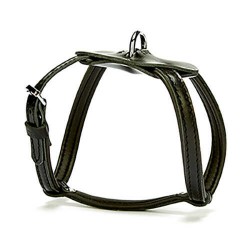 Doggie Konfor Spıder  Deri Göğüs Tasması Black