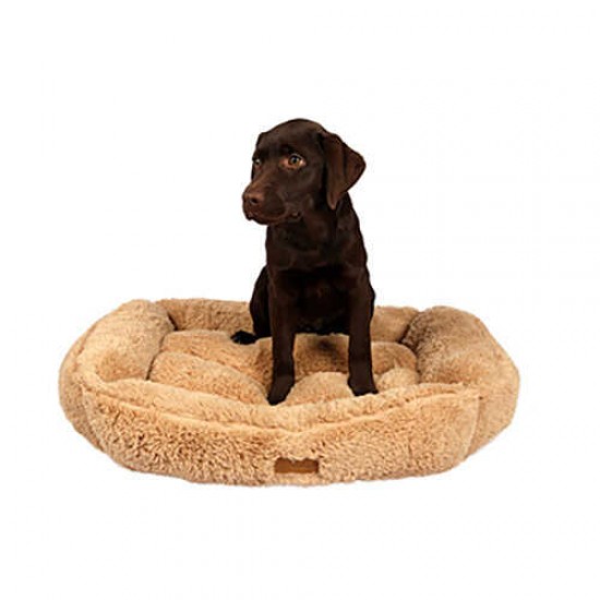 Dubex Brownie Dikdörtgen İç Mekan Kedi Köpek Yatağı Camel