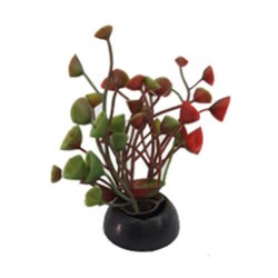 EuroGold Akvaryum İçin Plastik Bitki