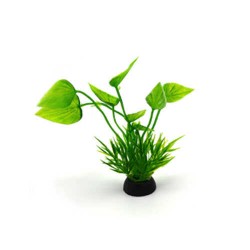 EuroGold Akvaryum Plastik Bitki
