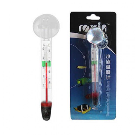 EuroGold Cam Termometre