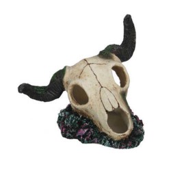 EuroGold Dekor Kuru Kafa