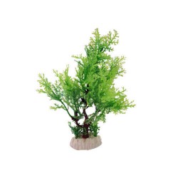 EuroGold Akvaryum Dekoru Plastik Bitki