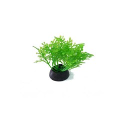 EuroGold  Yapay Bitki Akvaryum Dekoru