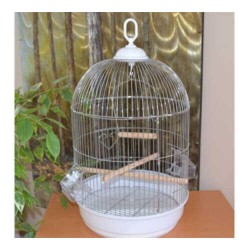 Eurogold Yuvarlak Krom Salon Kuş Kafesi