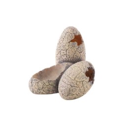 Exo Terra Dinazor Yumartası Sürüngen Aksesuarı