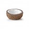 Exo Terra Ex Coconut Su Kabı Water Dish