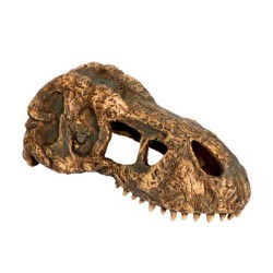 Exo Terra Trex Kafatası Akvaryum Aksesuarı