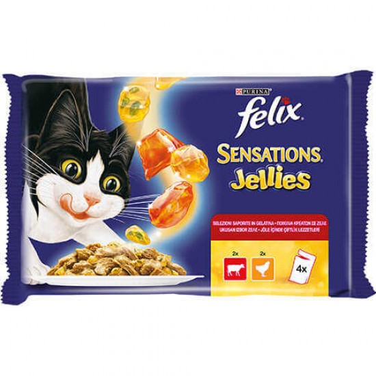 Felix Sensations Sığır Etli Tavuklu Jelli Pouch