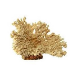 Ferplast Blu 9132 Beıge Coral Akvaryum Dekoru