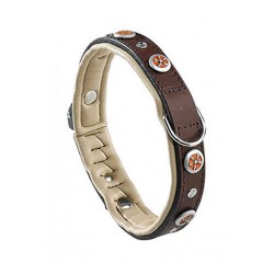 Ferplast Giotto Köpek Boyun Tasması Kahverengi