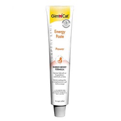 Gimcat Energy Paste Kedi Macunu