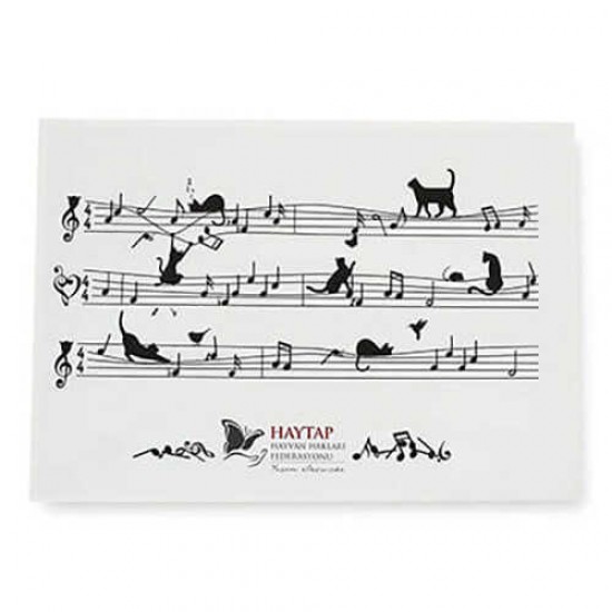 Haytap Amerikan Servis