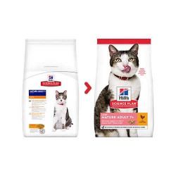 Hills 7+Light Tavuklu Düşük Kalorili Yaşlı Kuru Kedi Maması