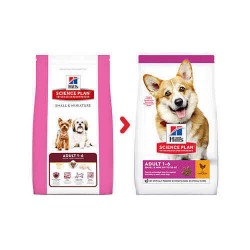 Hills Adult Canine Small & Miniature Tavuklu Küçük Irk Yetişkin Köpek Maması