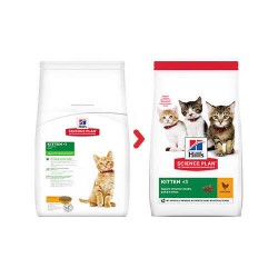 Hills Kitten Tavuklu Yavru Kuru Kedi Maması