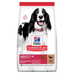 Hills Medium Lamb Orta Irk Kuzulu Yetişkin Kuru Köpek Maması