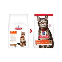 Hills Optimal Care Lamb Kuzulu Kuru Yetişkin Kedi Maması
