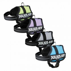 Julius-K9 Özel Köpek Göğüs Tasma Turkuaz