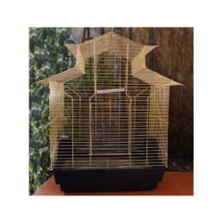 Kafes Papağan Çin Çatılı Prinç