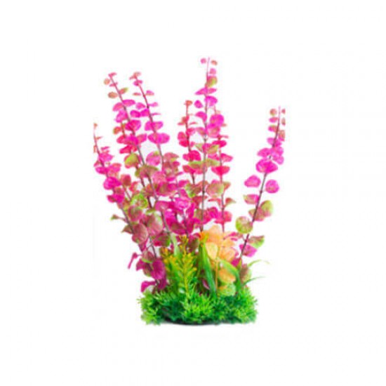 Langua Akvaryum Plastik Bitkisi