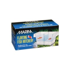 Marina Yüzen Akvaryum Yavruluğu