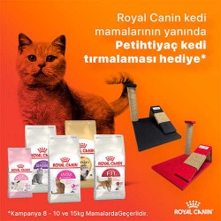 Petihtiyac Kedi Tırmalama Platformu ( Hediyedir )