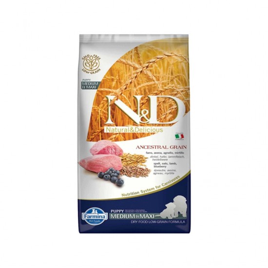 ND Ancestral Grain Düşük Tahıllı Kuzu Eti ve Yaban Mersinli Orta ve Büyük Irk Yavru Köpek Maması 12kg ND Ancestral Grain Düşük Tahıllı Kuzu Eti ve Yaban Mersinli Orta ve Büyük Irk Yavru Köpek Maması 12kg