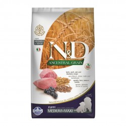 ND Ancestral Grain Düşük Tahıllı Kuzu Eti ve Yaban Mersinli Orta ve Büyük Irk Yavru Köpek Maması 2,5kg