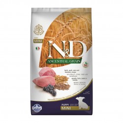 ND Ancestral Grain Tahıllı Kuzu Eti ve Yaban Mersinli Küçük Irk Yavru Köpek Maması 2,5kg