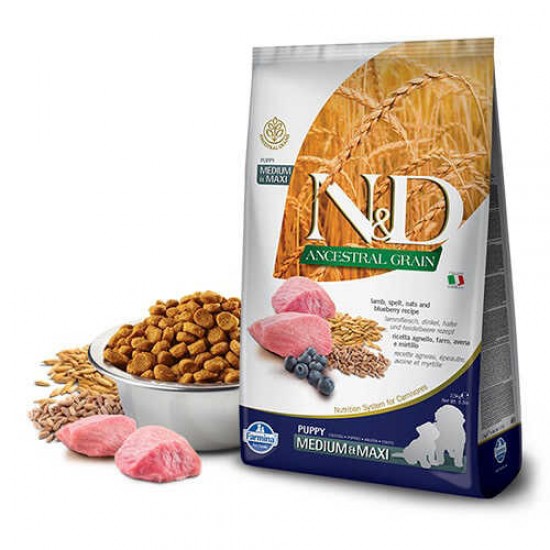 N&D Low Kuzu Etli Ve Yaban Mersinli Yavru Orta Ve Büyük Irk Köpek Maması