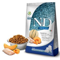 N&D Ocean Morina Balkabaklı ve Kavunlu Büyük ve Orta Irk Yavru Köpek Maması