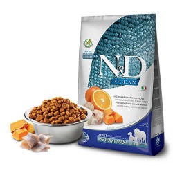 N&D Ocean Pumpkin Medium Maxi Balık ve Portakallı Yetişkin Köpek Maması