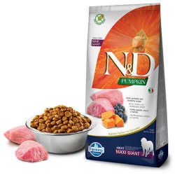 N&D Pumpkin Kuzulu Yabanmersinli Maxi Giant Yetişkin Köpek Maması