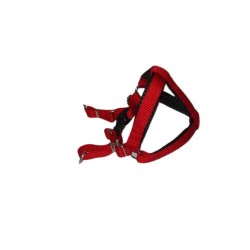 Pet Style Yumuşak Doku Bel Tasması No:0