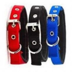 Pet Style Yumuşak Doku Köpek Boyun Tasması Kırmızı